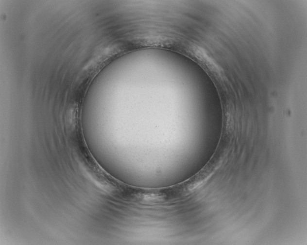 X0000088610165200706081443