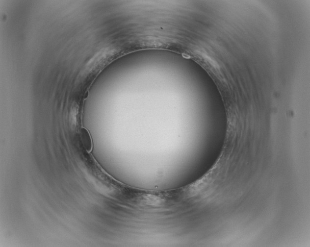 X0000088610166200706081443