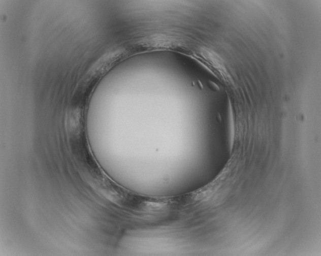 X0000088610167200706081443