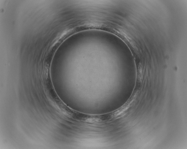 X0000088610168200706081443