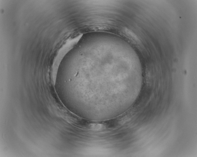 X0000088610169200706081443