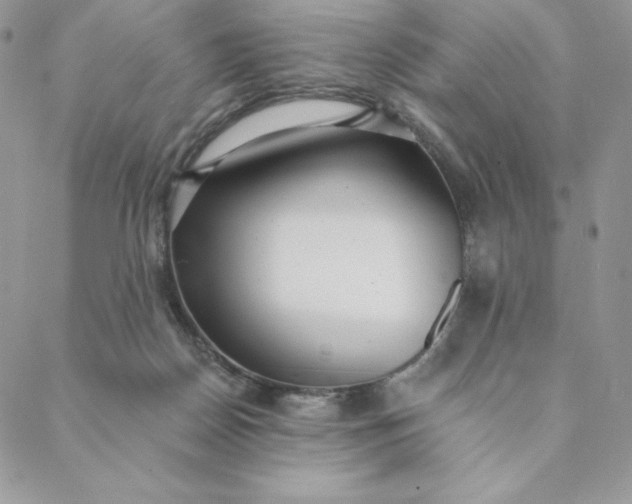 X0000088610170200706081443