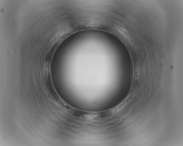 X0000088610172200706081443