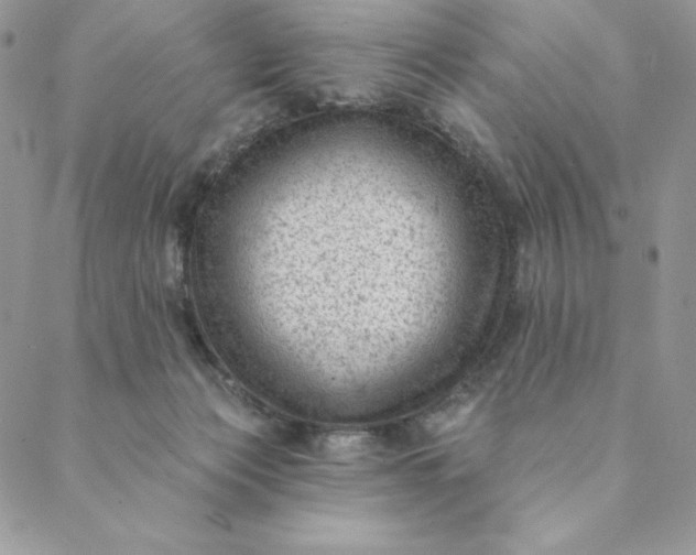 X0000088610173200706081443