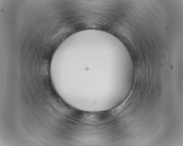 X0000088610174200706081443