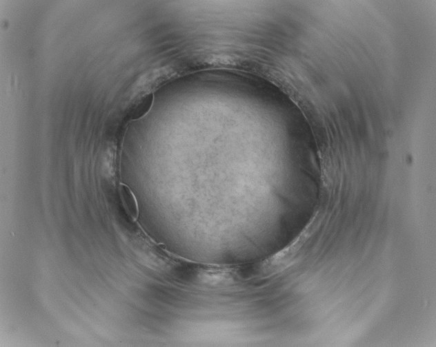 X0000088610175200706081443