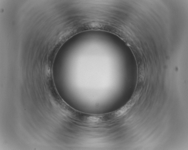 X0000088610176200706081443