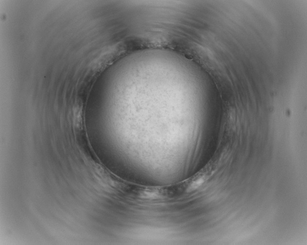 X0000088610177200706081443