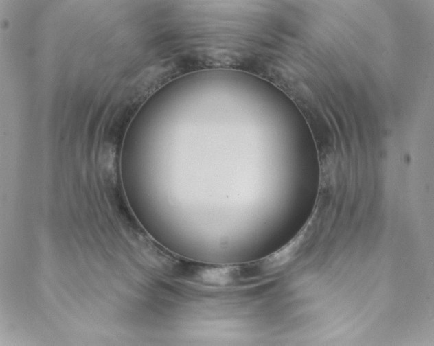 X0000088610178200706081443