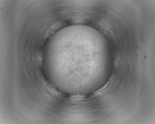 X0000088610179200706081443