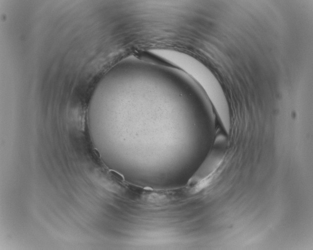 X0000088610180200706081443