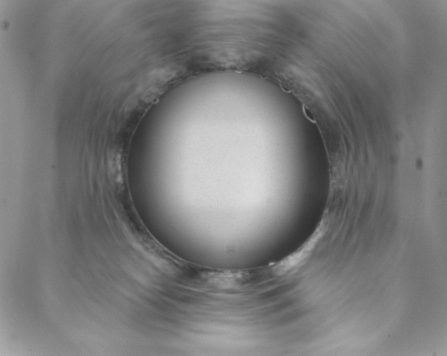 X0000088610182200706081443