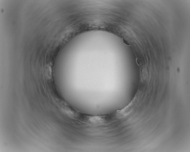 X0000088610183200706081443