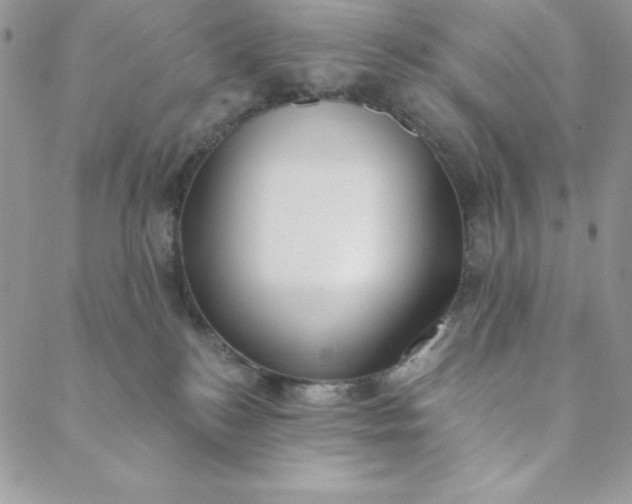 X0000088610184200706081443