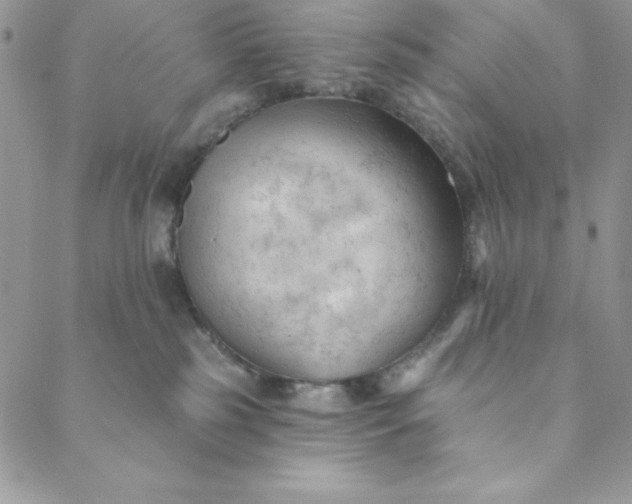 X0000088610185200706081443