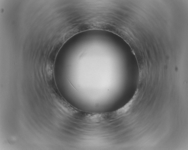 X0000088610186200706081443