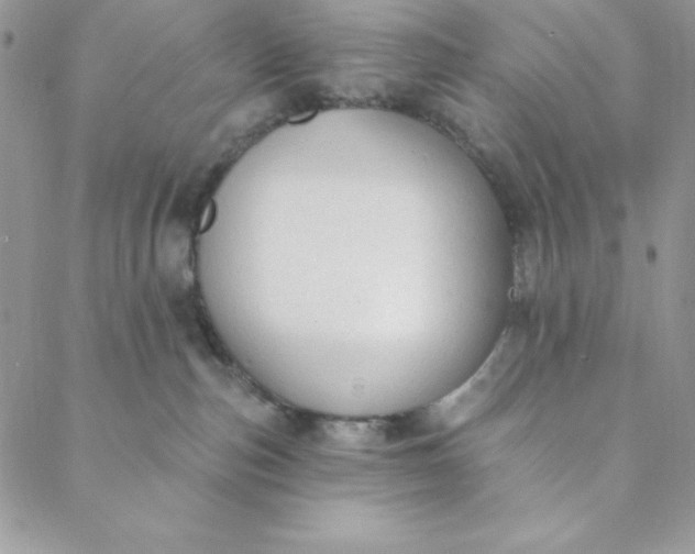 X0000088610187200706081443