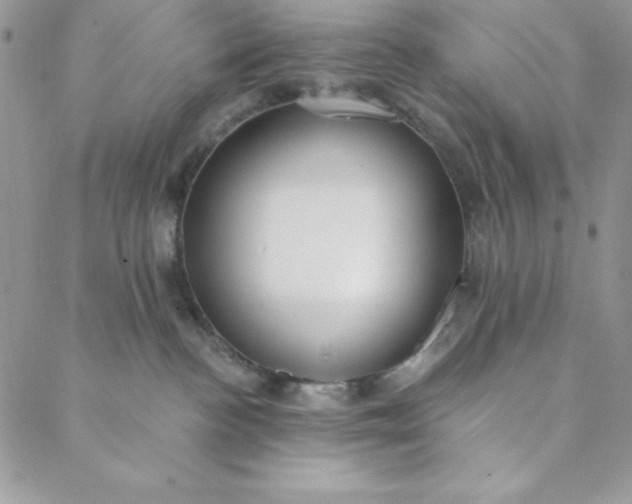 X0000088610188200706081443