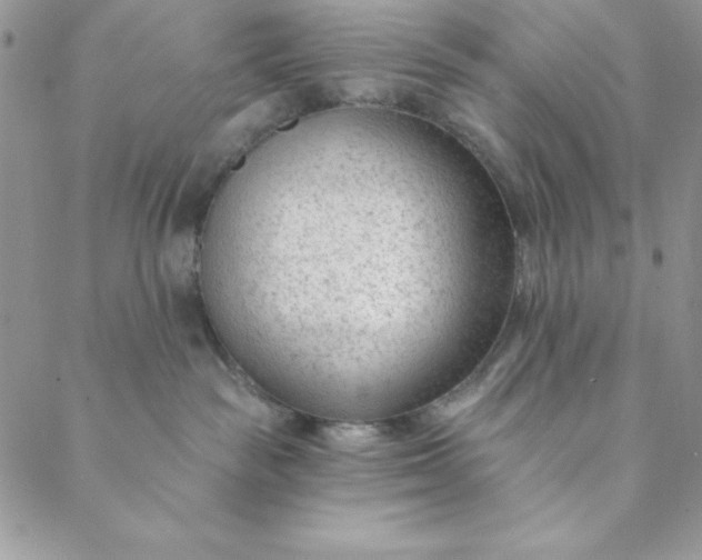 X0000088610189200706081443