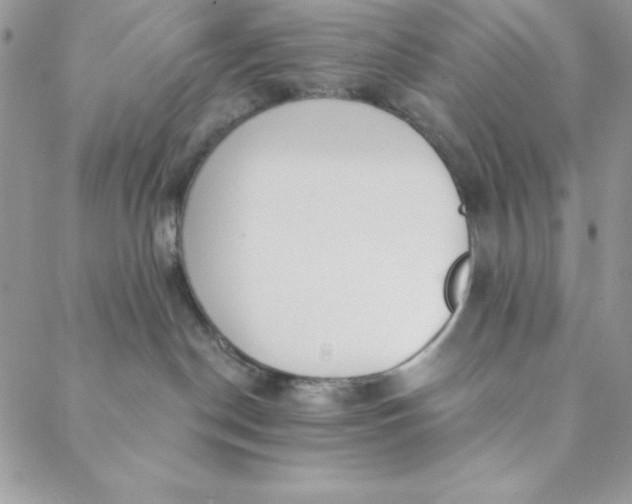 X0000088610190200706081443