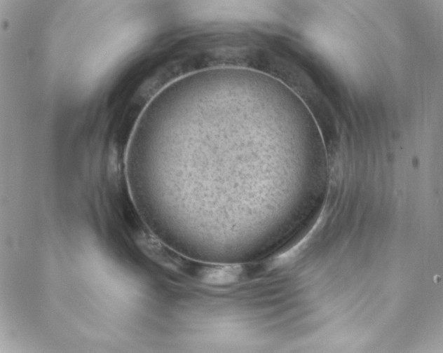 X0000088610191200706081443