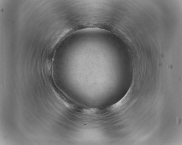 X0000088610192200706081443