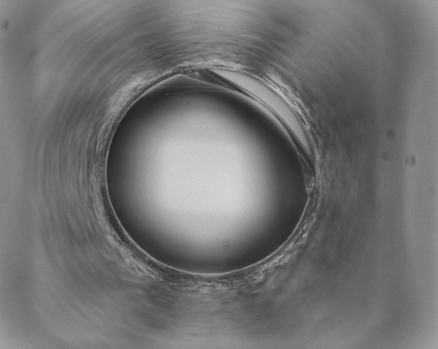 X0000088610193200706081443