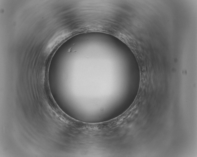 X0000088610194200706081443