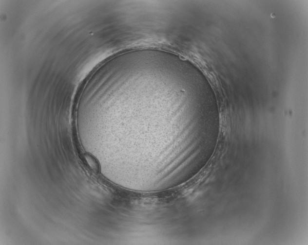 X0000088610196200706081442