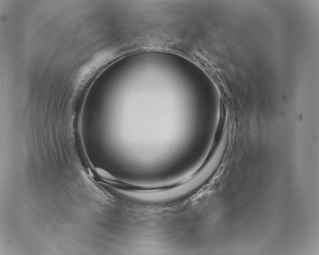 X0000088610197200706081442