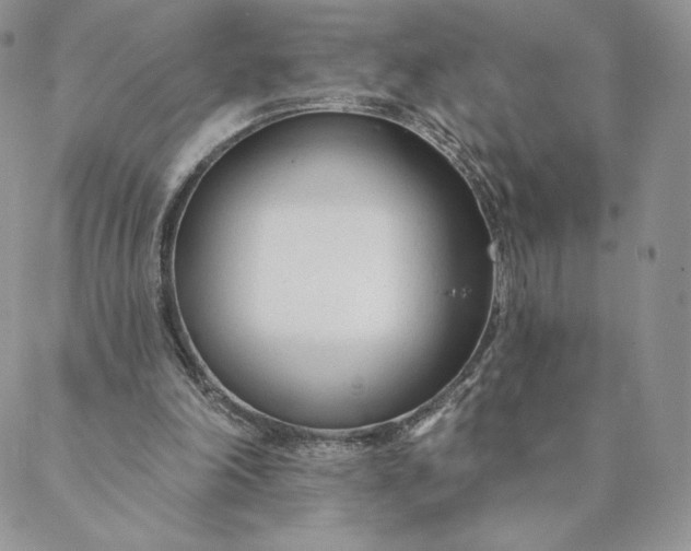 X0000088610198200706081442