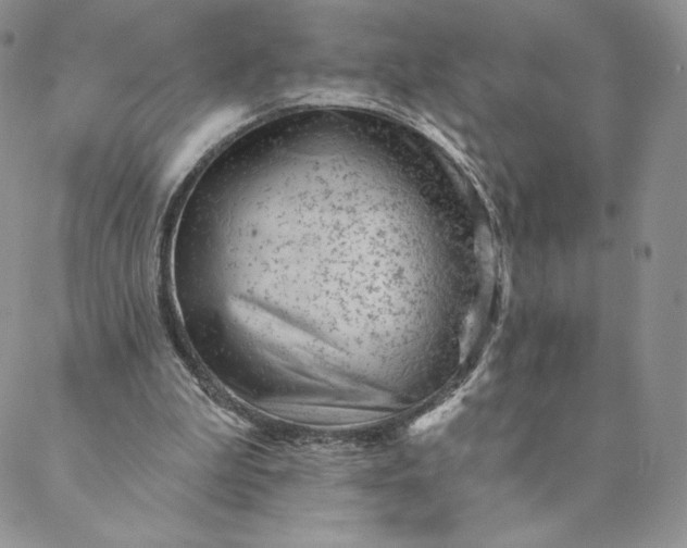 X0000088610199200706081442