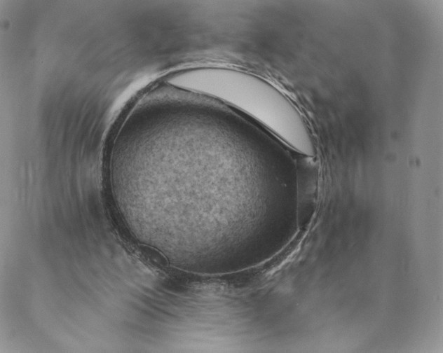 X0000088610200200706081442