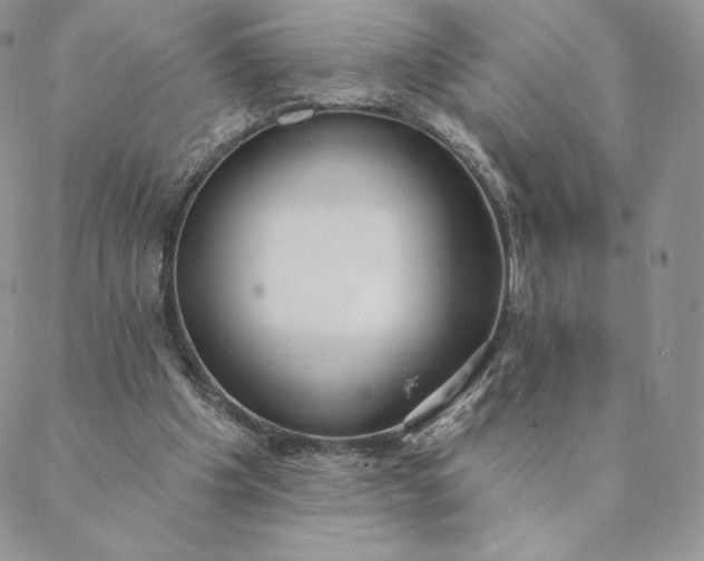 X0000088610201200706081442