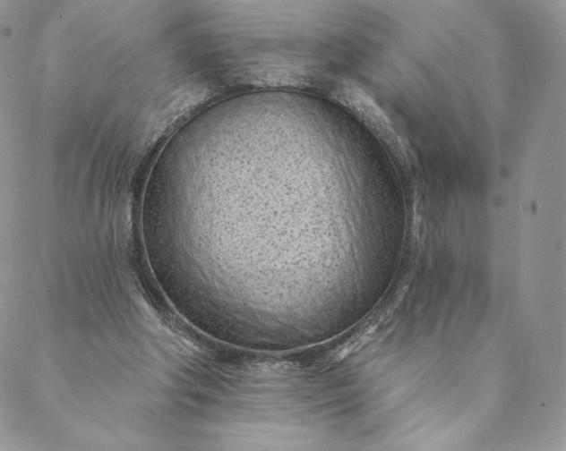 X0000088610202200706081442