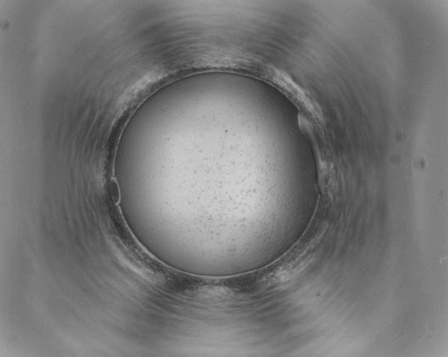 X0000088610203200706081442