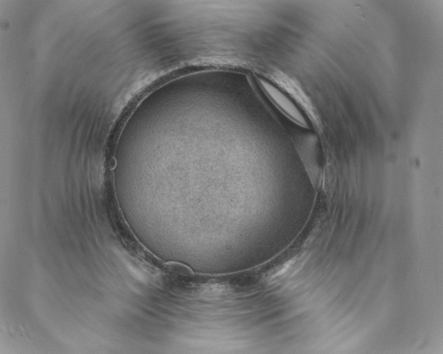 X0000088610204200706081442