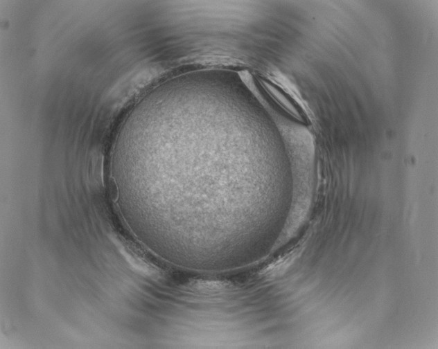 X0000088610205200706081442