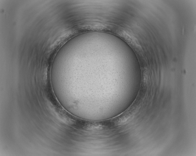 X0000088610206200706081442