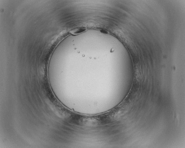 X0000088610208200706081442