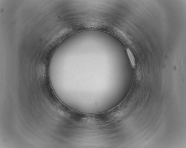 X0000088610211200706081442