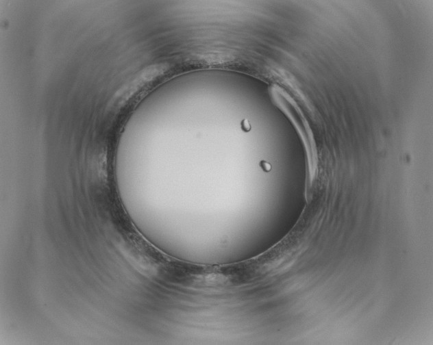 X0000088610212200706081442