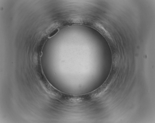 X0000088610213200706081442