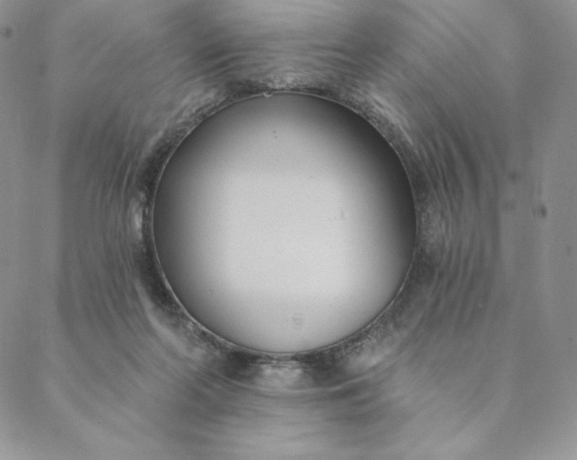 X0000088610214200706081442