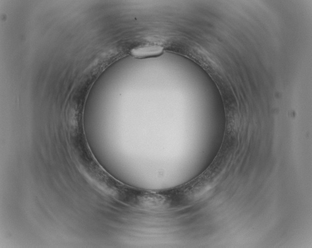 X0000088610215200706081442