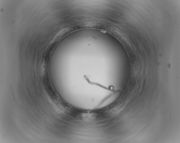 X0000088610216200706081442