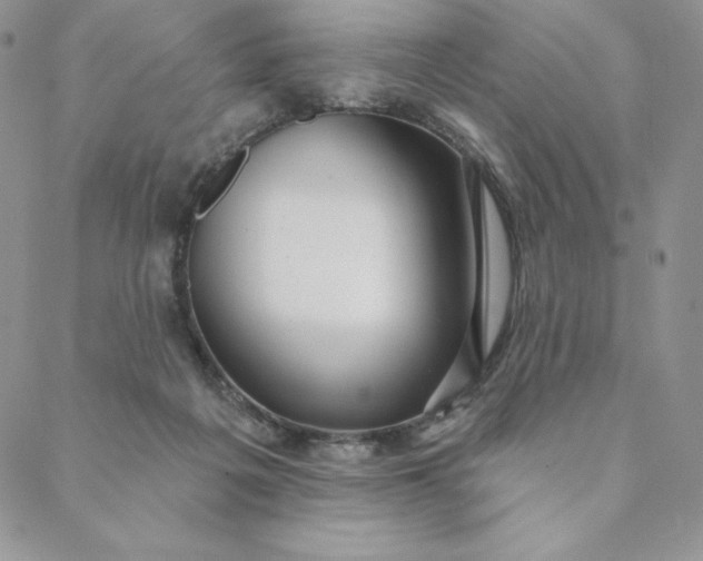 X0000088610217200706081442