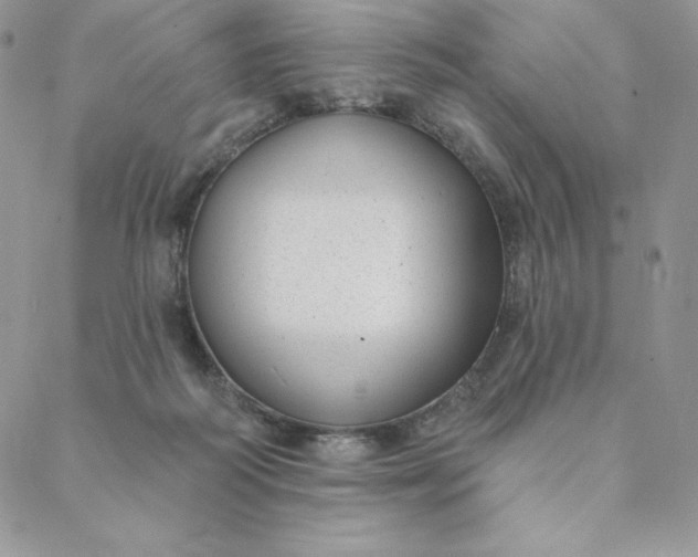 X0000088610218200706081442