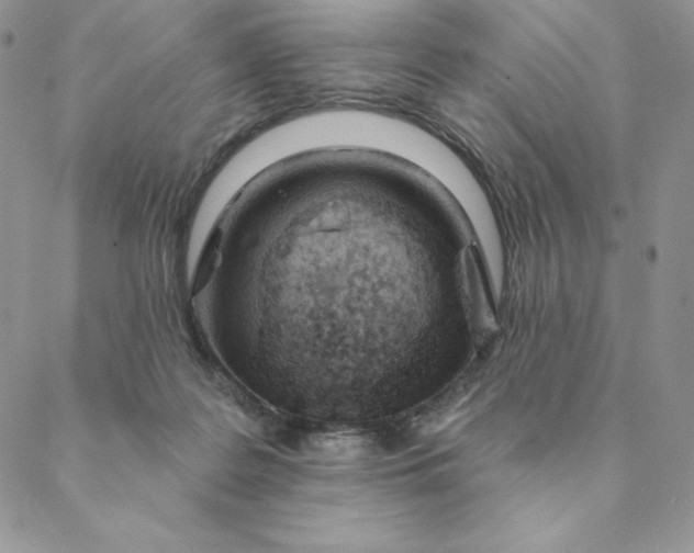 X0000088610219200706081442