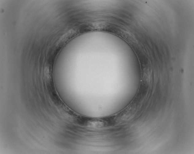 X0000088610220200706081442